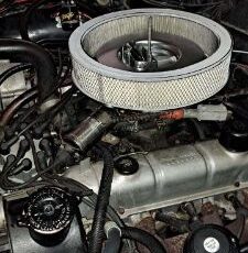 Buick-Skylark-1964-BlackCream-BlackCream