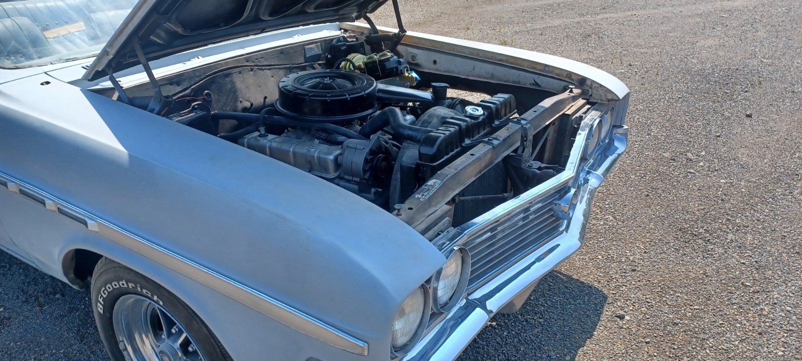 Buick-Skylark-1964-Convertible-8