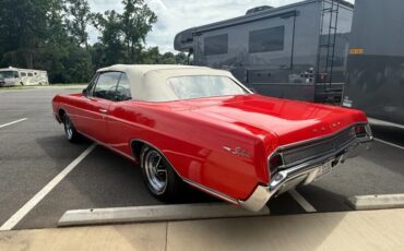 Buick-Skylark-1966-5