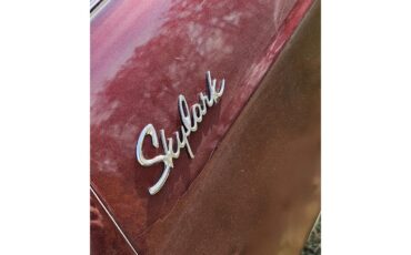 Buick-Skylark-1966-Candy-Cranberry-red-White-and-leather-16