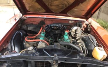 Buick-Skylark-1966-Copper-Beige-1
