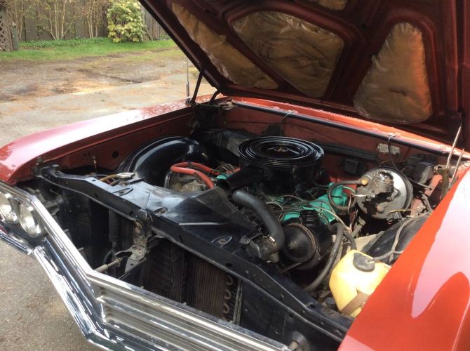 Buick-Skylark-1966-Copper-Beige-2