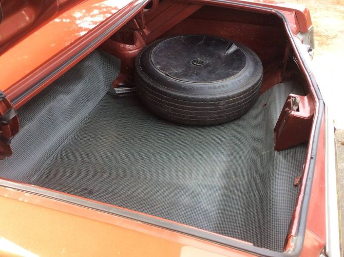 Buick-Skylark-1966-Copper-Beige-9