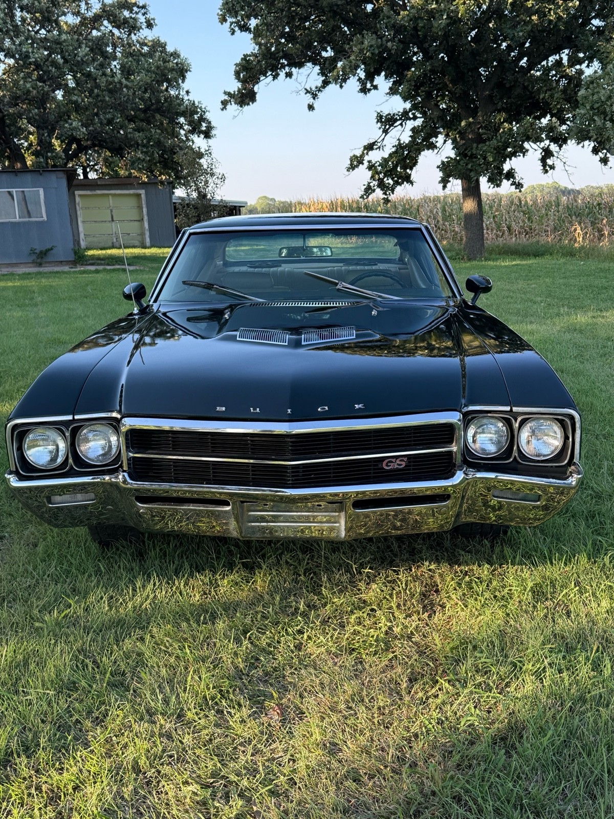 Buick-Skylark-1969-1