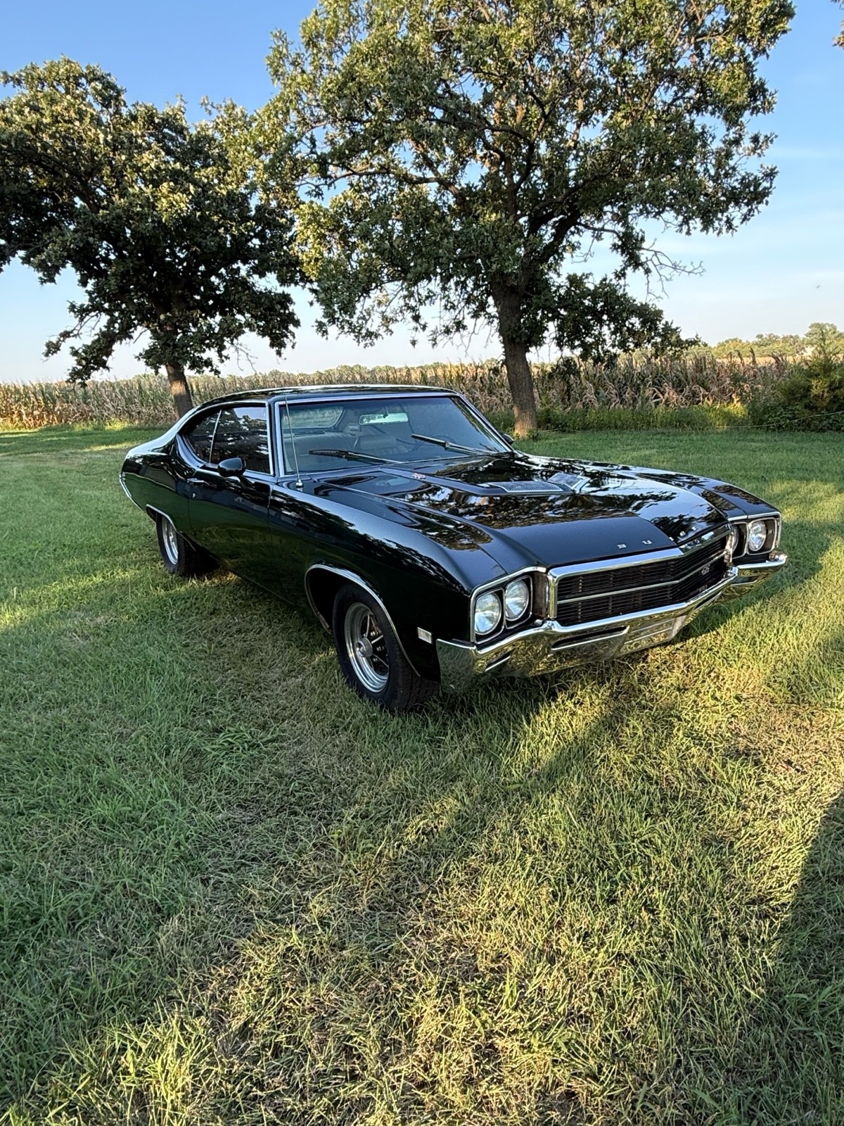 Buick-Skylark-1969-2