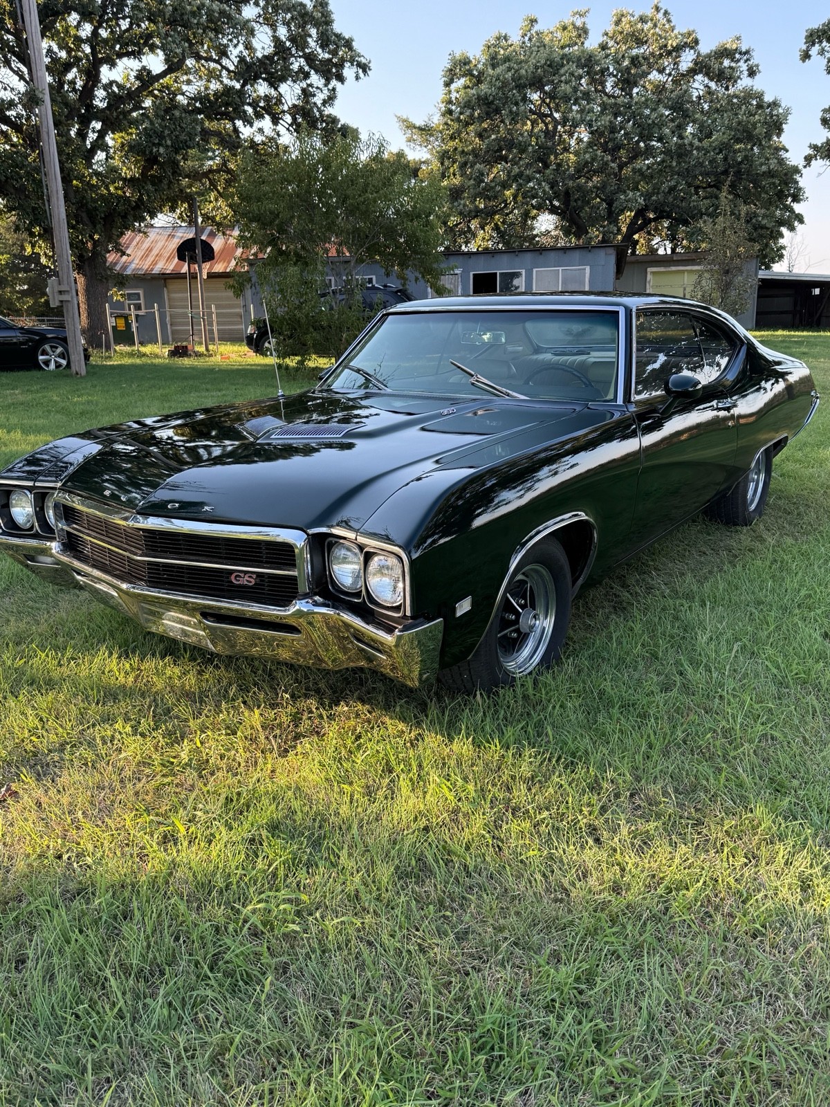 Buick Skylark 1969