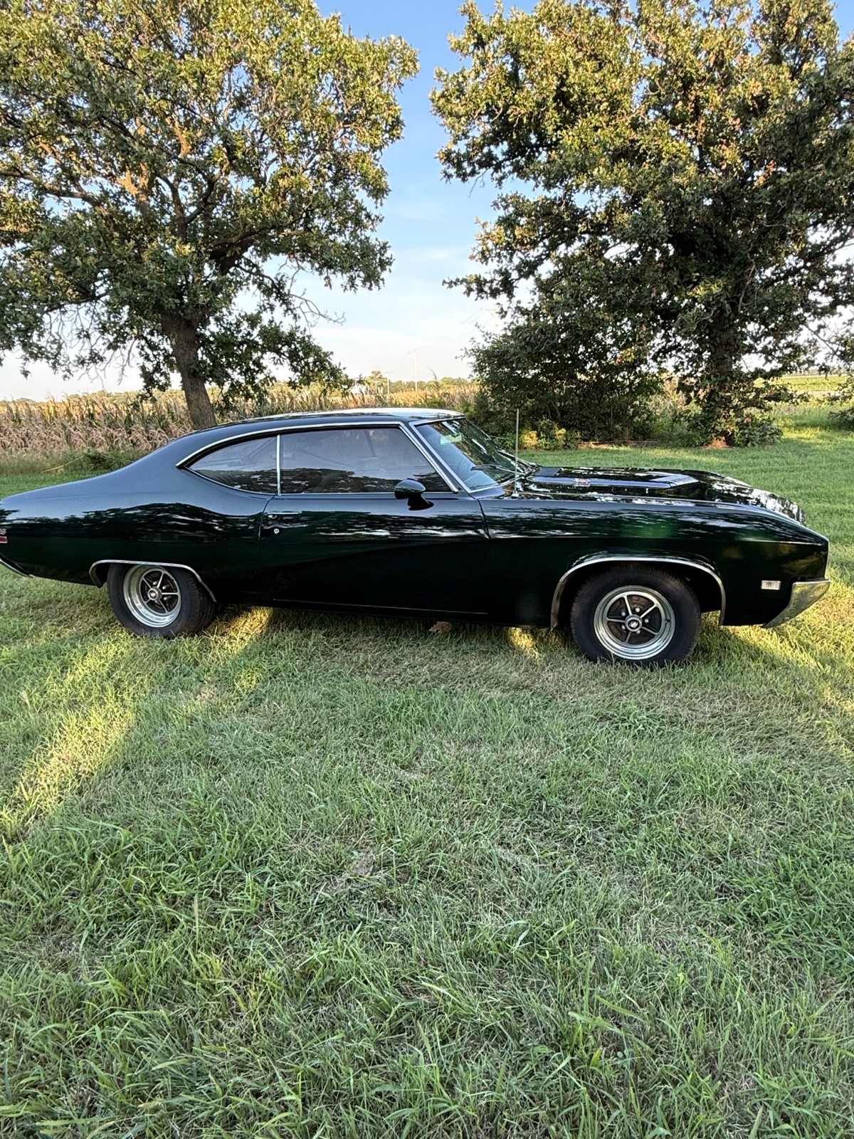 Buick-Skylark-1969-3
