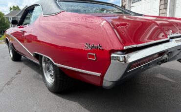 Buick-Skylark-1969-3