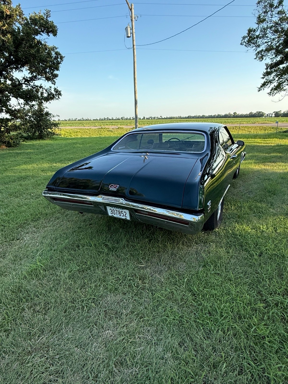 Buick-Skylark-1969-4