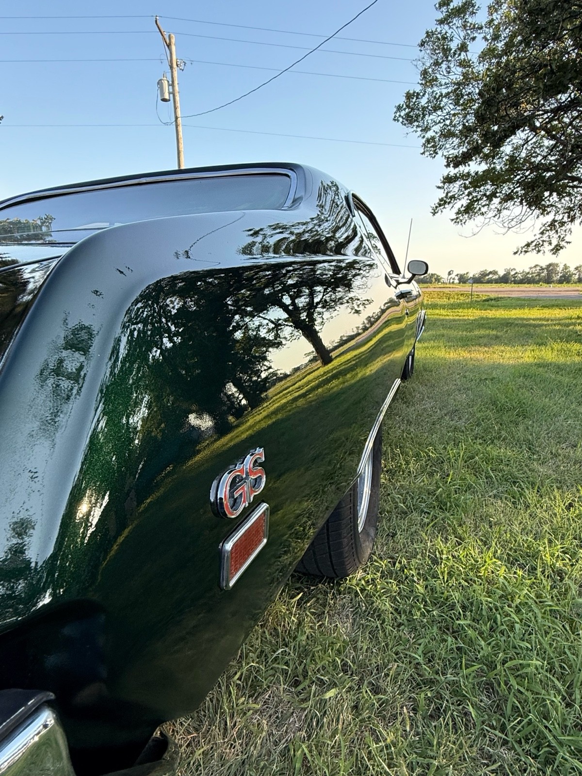 Buick-Skylark-1969-5