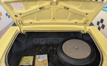 Buick-Skylark-1972-Yellow-Brown-13