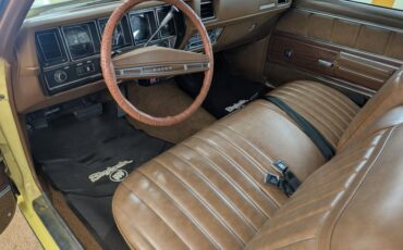 Buick-Skylark-1972-Yellow-Brown-8