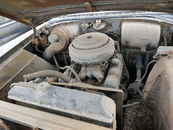 Buick-Special-1955-9