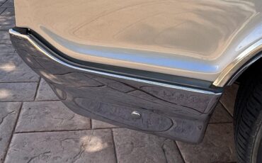 Buick-Wildcat-1965-Silver-Silver-Black-31