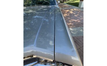 Buick-Wildcat-1965-Silver-Silver-Black-5
