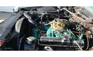Buick-Wildcat-1966-Foam-Green-Green-23