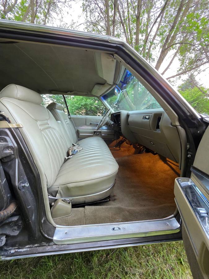 Buick-electra-1969-brown-11