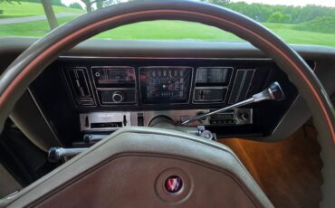Buick-electra-1969-brown-5