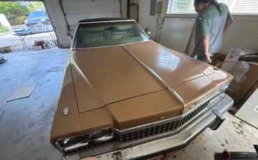 Buick-electra-1975-brown-1