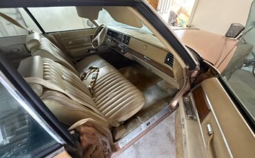 Buick-electra-1975-brown-2