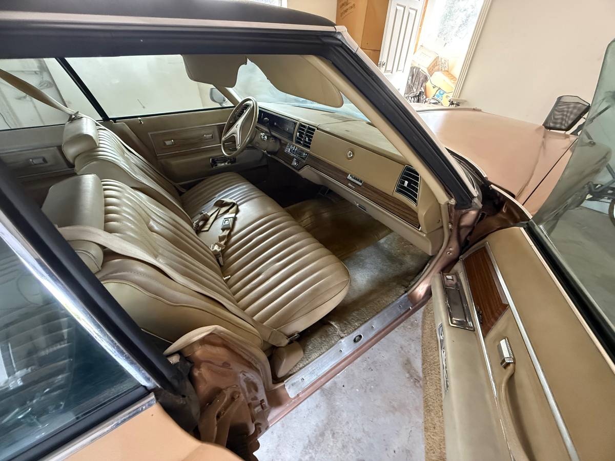 Buick-electra-1975-brown-2