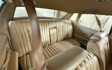 Buick-electra-1975-brown-3