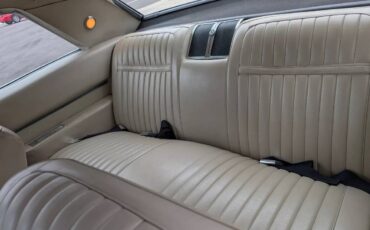 Buick-electra-225-1966-white-4