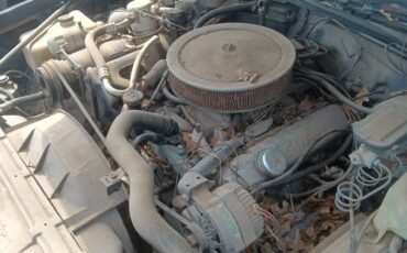 Buick-electra-225-2-dr-ht-1969-2
