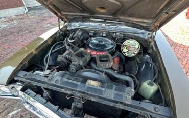 Buick-gs400-1969-green-13