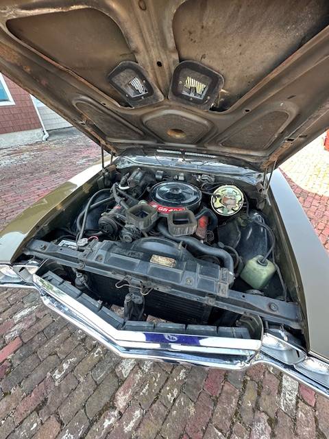 Buick-gs400-1969-green-13