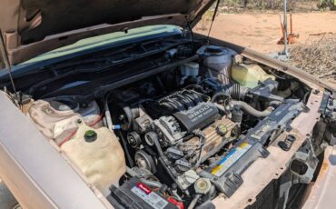 Buick-lesabre-custom-1994-brown-17