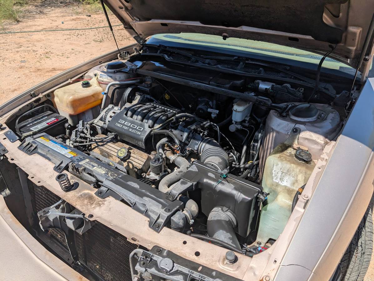 Buick-lesabre-custom-1994-brown-18