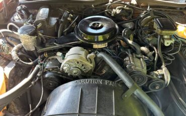 Buick-lesabre-limited-1981-custom-5