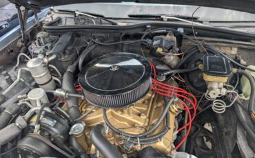 Buick-lesabre-limited-1984-blue-14