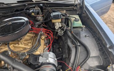 Buick-lesabre-limited-1984-blue-16