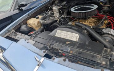 Buick-lesabre-limited-1984-blue-18