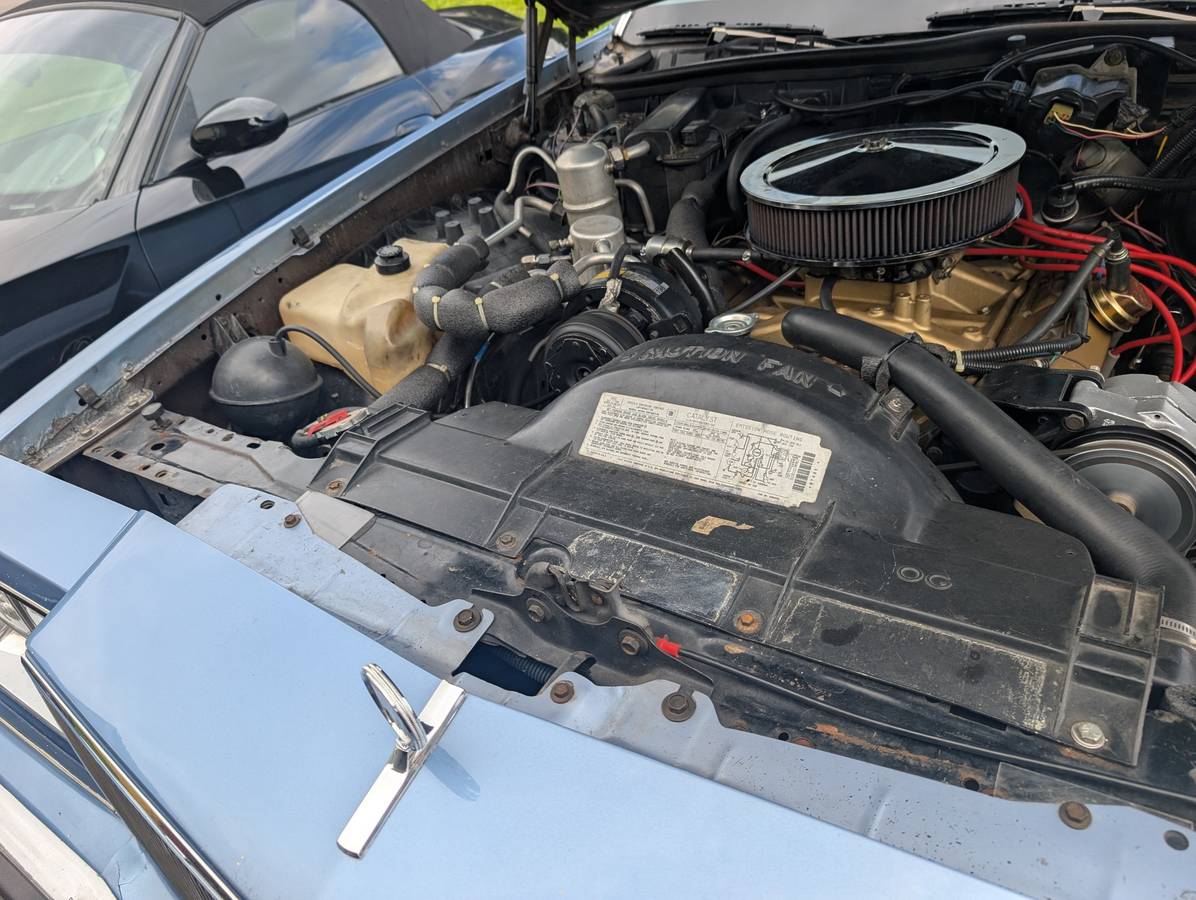 Buick-lesabre-limited-1984-blue-18