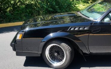 Buick-regal-gnx-grand-national-1987-10