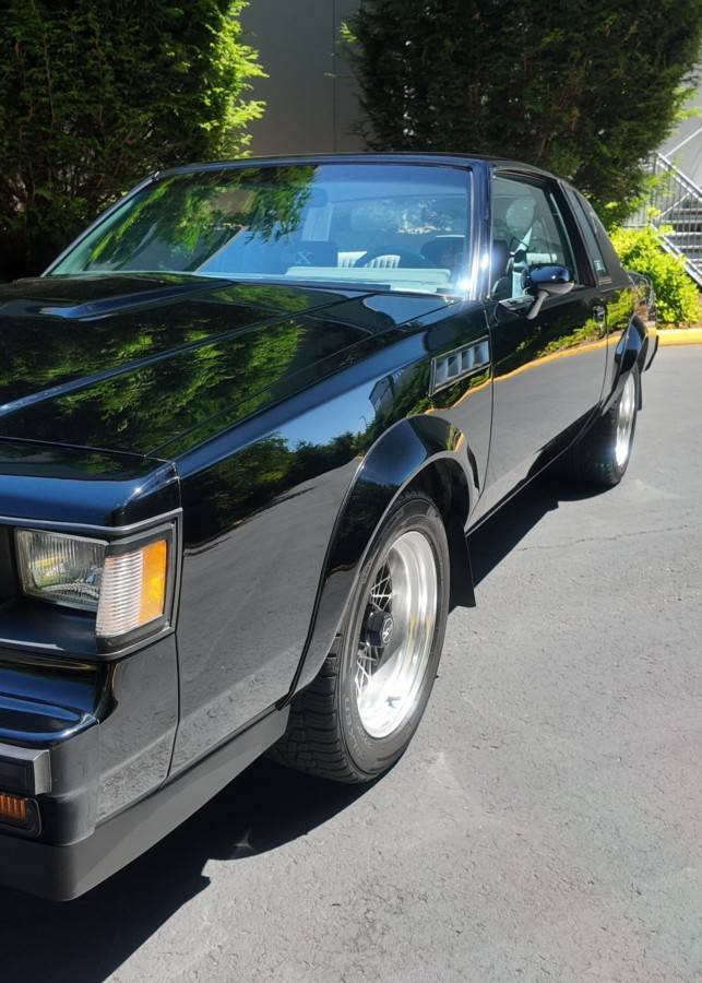 Buick-regal-gnx-grand-national-1987-11