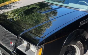 Buick-regal-gnx-grand-national-1987-12