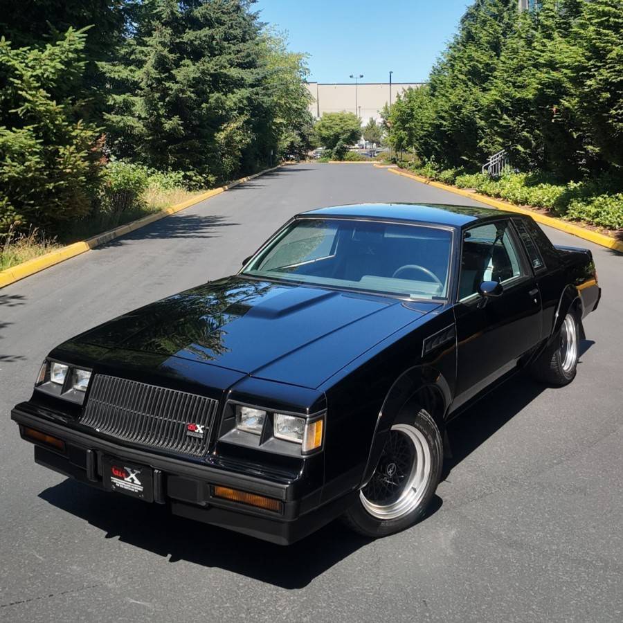 Buick-regal-gnx-grand-national-1987-14