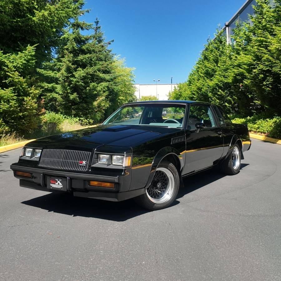 Buick-regal-gnx-grand-national-1987-21