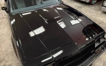 Buick-regal-grand-national-1987-9