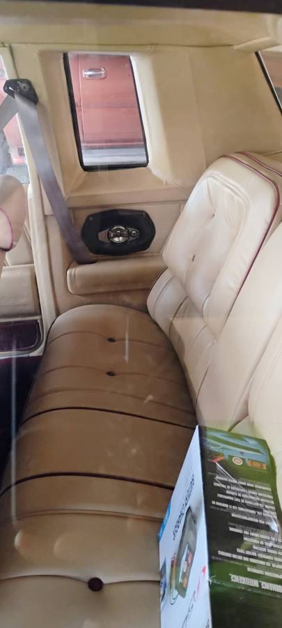 Buick-regal-ls-1981-custom-10