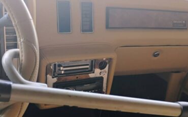 Buick-regal-ls-1981-custom-11
