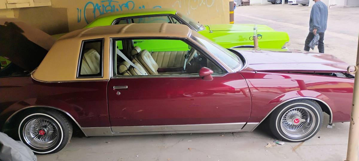 Buick-regal-ls-1981-custom-2
