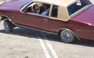 Buick-regal-ls-1981-custom-5