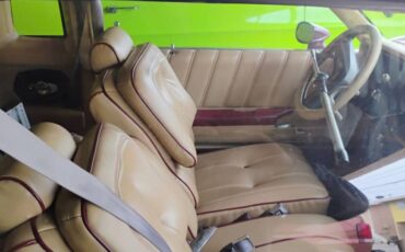 Buick-regal-ls-1981-custom-8