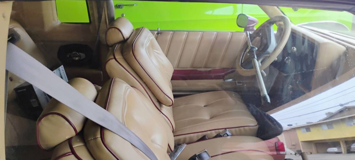 Buick-regal-ls-1981-custom-8