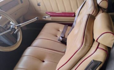 Buick-regal-ls-1981-custom-9